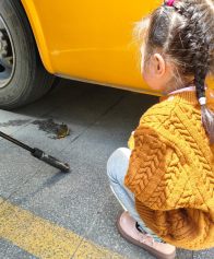 竹山市民成功救助國家二級保護動物紅嘴相思鳥