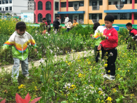 竹坪鄉(xiāng)中心幼兒園開展拔草勞動活動