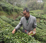 【十星好人】湯興兵：?jiǎn)问指鲋赂徊?十星閃耀映初心