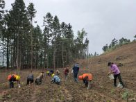 天堂林場(chǎng)多點(diǎn)發(fā)力推進(jìn)特色種植提質(zhì)增效