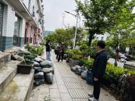 上庸鎮(zhèn)：春日植新綠 繁花繪美景