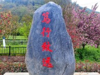 竹坪鄉(xiāng)茶產業(yè)助推村民增收致富