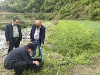 上庸鎮(zhèn)：鎮(zhèn)村干部深入田間護航高標準農(nóng)田