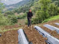 閔遠方：二十余載深耕　帶動鄉村共富