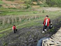 深河鄉(xiāng)：十星志愿?jìng)魑拿?門(mén)前三包煥新顏