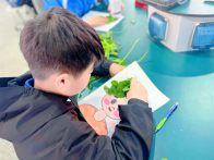 恒升小學“泡泡”心理社團開展創意自然心理活動