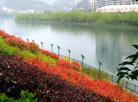 我县召开2026年松材线虫病疫情防控推进会