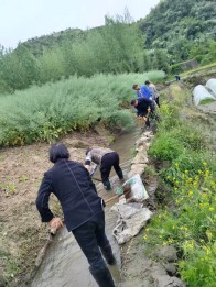 溢水鎮(zhèn)：干群同心修堰渠 清水長流助春耕