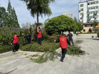 縣退役軍人事務局開展“春日美化”行動