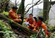 堵河源保護區：紅外相機“靜捕”野生動物生存密碼