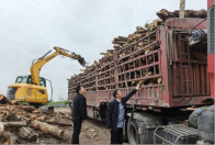 寶豐鎮：扎實推進松材線蟲病防控 筑牢生態安全防線