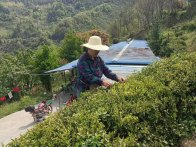 【十星好人】周克梅：以孝持家守初心 和谐星光照乡邻