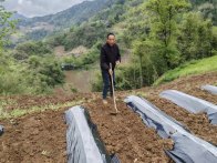 【十星好人】闵远方：深耕乡土守初心 致富担当暖乡邻