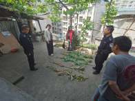 北大街社区：禁种铲毒除隐患  普法宣传筑防线