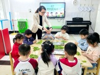 巧手剥豌豆  劳动润童心——人民路幼儿园开展生活劳动实践活动