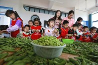 宝丰二幼：小手剥蚕豆 快乐满心头