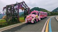花开迎五一   景美醉上庸