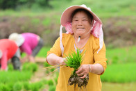劳动美笑容甜