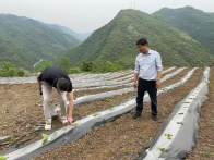 楼台乡：下沉一线抓生产 靠前服务助增收