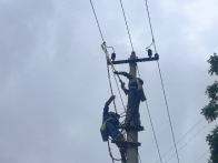 麻家渡供電所筑牢汛期電網防雷安全防線