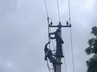 縣供電公司全面開展配網防雷治理工作