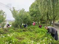 宝丰镇侯家湾村：开展沿岸环境整治 助力文明河流建设