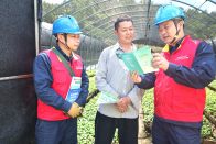 縣供電公司：供電服務生態苗圃