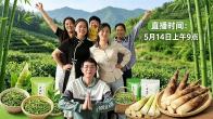 城關鎮：“家門口”開展網創培訓 助力“寶媽”增收