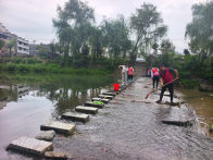 宝丰镇：干群同心护碧水 河清岸绿绘新景
