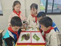 擂鼓镇小学开展特色科学实践课