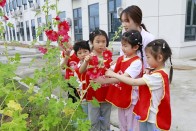 宝丰二幼开展识花赏花自然课程