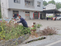 文峰鄉(xiāng)：全員上陣除舊貌  “六靜六順”換新顏