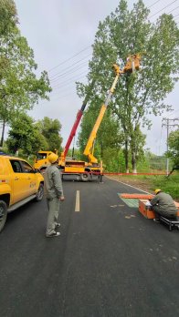 縣供電公司：深耕林區隱患治理 筑牢電網安全屏障