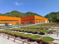 得胜镇：优化营商环境　提升服务效能