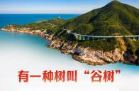 跟总书记一起厚植精神之“树”