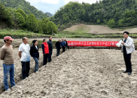 上庸镇：大豆玉米种植  农技送技到田头