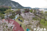 和谐共生｜长江运河交汇处，地球“最美岸线”这样炼成