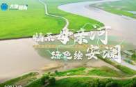 和谐共生|情系母亲河 绿色绘安澜