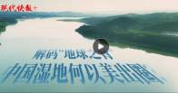 和谐共生｜解码“地球之肾”，中国湿地何以美出圈？