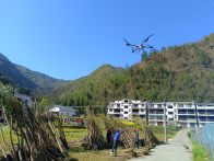 楼台乡：植树用上新科技 国土绿化添动能