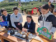 团县委：团聚青年力量 助力茶业发展