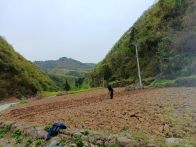 楼台乡：万象“耕”新不负春 春播生产人倍忙