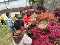 溢水镇第二幼儿园：童心爱鸟  护鸟在行
