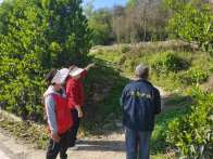 城关镇：“四到位”切实筑牢森林防火屏障