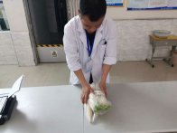 县公共检验检测中心开展校园食品安全专项抽检