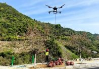 上庸镇：无人机运树扮靓圣水湖 鲜花小镇千树万花迎春来