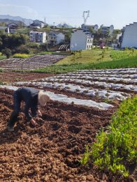 城关镇窑沟村：扎实开展春耕备耕工作
