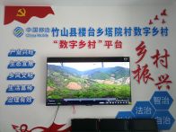 楼台乡：数字乡村建设点亮基层治理路