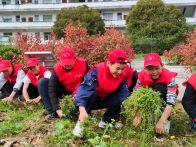 黄栗一贯制学校：以劳育人　以劳促美