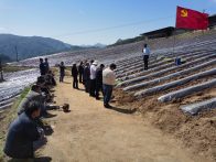 官渡镇：“农民课堂”走俏 家门口学真本事